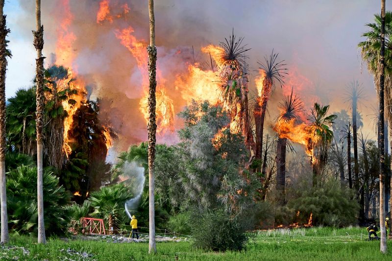 Viele Wirtschaftsmodelle unterschätzen Klimakrise, zeigt Studie – und warnt vor Finanzcrash