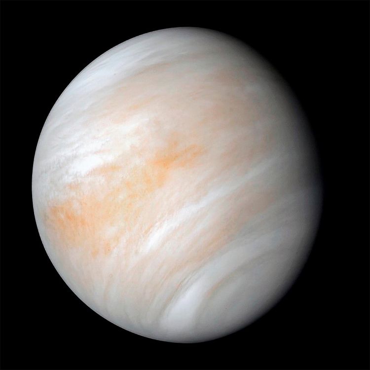 Ein Bild der Venus, aufgenommen von der NASA-Sonde Mariner 10 im Februar 1974. Die Planetenoberfläche ist von einer dichten, weißen Wolkenschicht bedeckt und zeigt leichte orangene Färbungen.