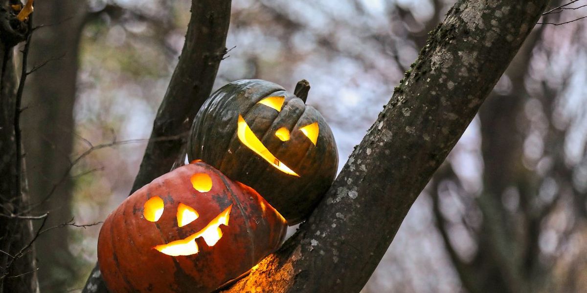 12 Stück Leuchtende Halloween Kürbis Deko - Süße Mini-Figuren