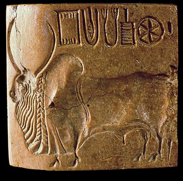 Hundertj-hrige-D-rren-l-uteten-den-Untergang-der-mysteri-sen-Indus-Kultur-ein