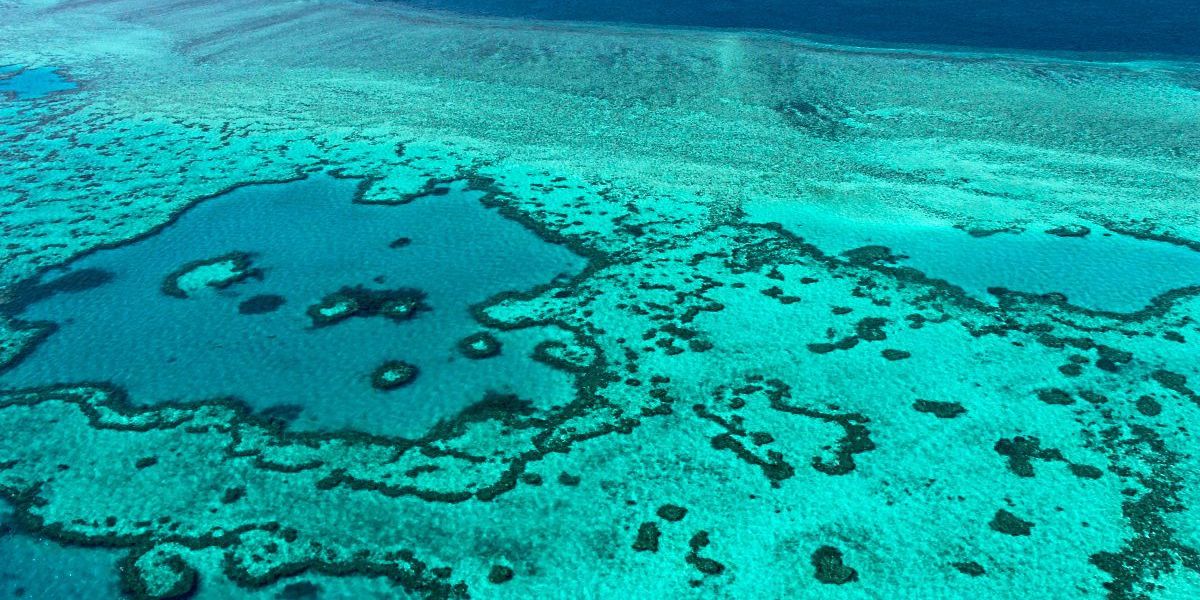 Trotz Widerstands: Das Great Barrier Reef soll bedrohtes Unesco-Erbe werden