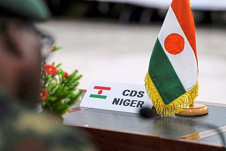 Aufnahme von Plakette und Fahne des Niger