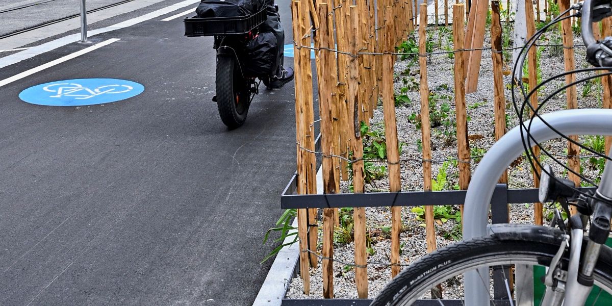 Essenszustellfirmen unterstützen Aus für E-Mopeds auf Radwegen