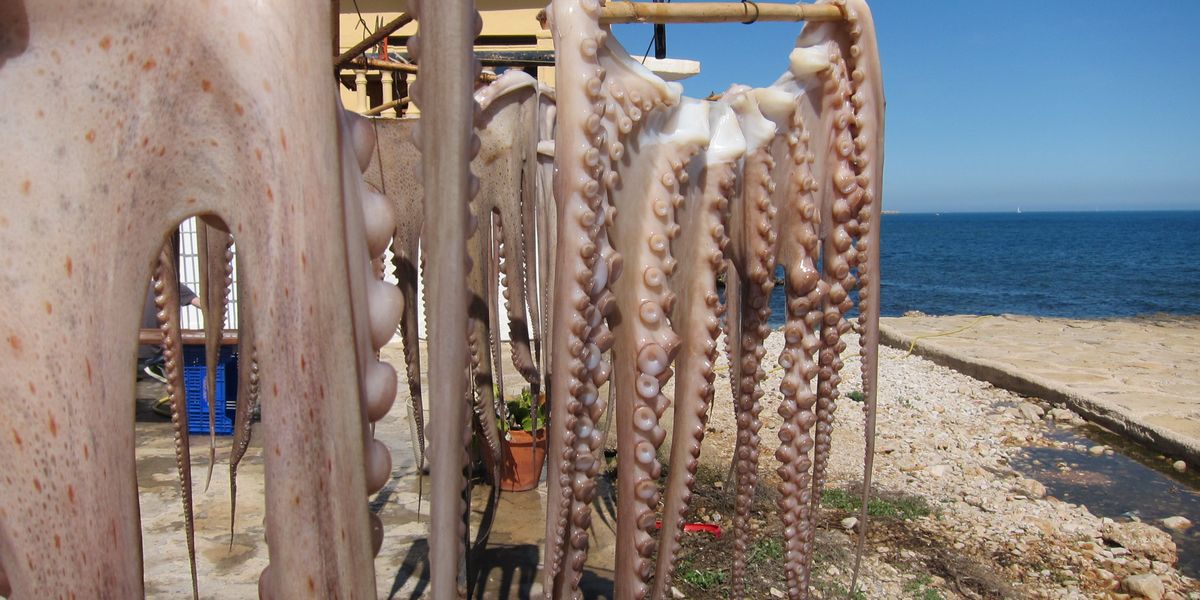 Bei den Tintenfisch-Männern an der Costa Blanca