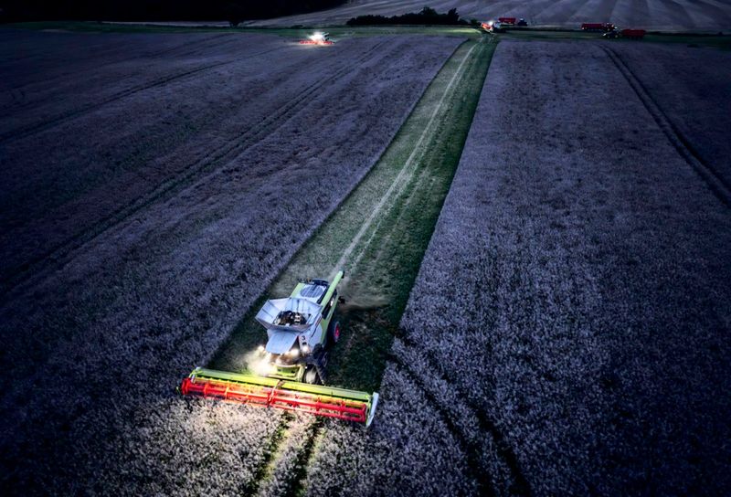 Ökonomin Nedelkoska: "Wir werden den Arbeitsmarkt von 2040 nicht mehr wiedererkennen"