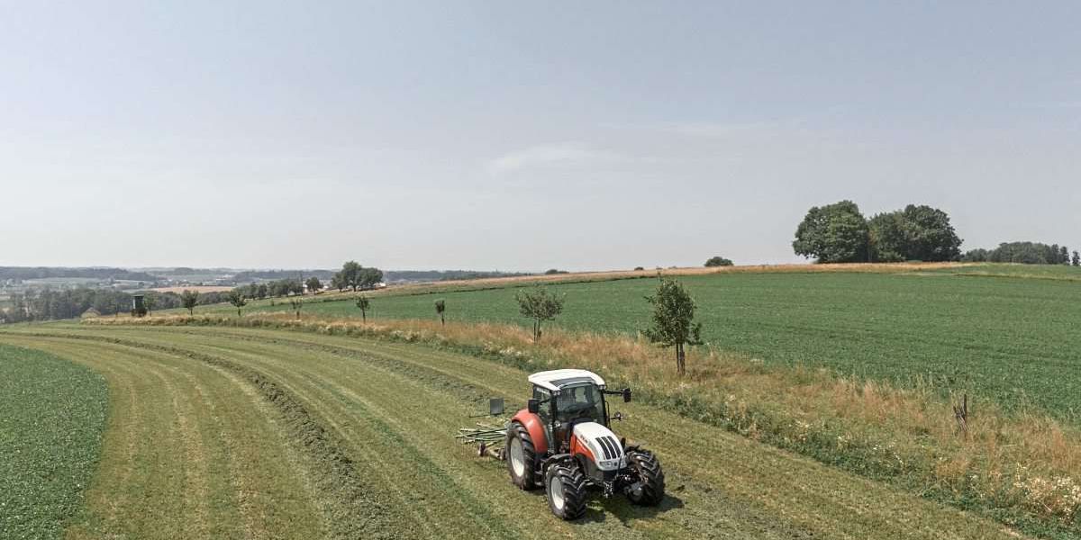 Zwischen Naturschutz und Landwirtschaft: Studie zum Renaturierungsgesetz verspricht Erfolg