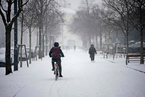 k-lteeinbruch-sorgt-f-r-ein-drittel-mehr-st-rungen-im-wiener-bb-netz