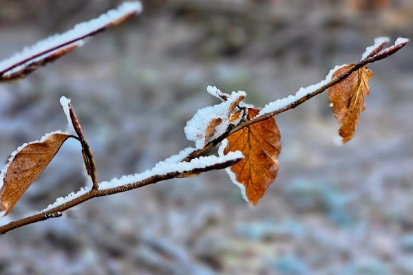 Winterdienst-nach-erstem-Schnee-in-Wien-im-Gro-einsatz