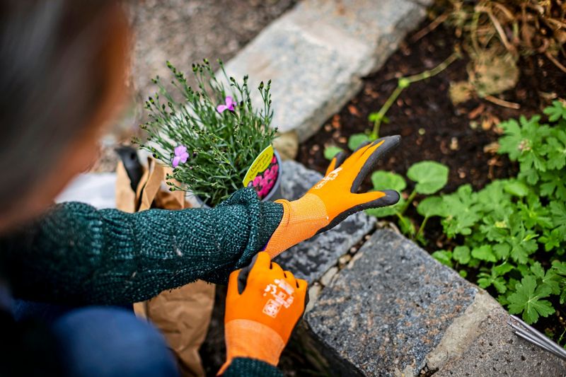 Wo man in der Stadt auch ohne Garten garteln kann