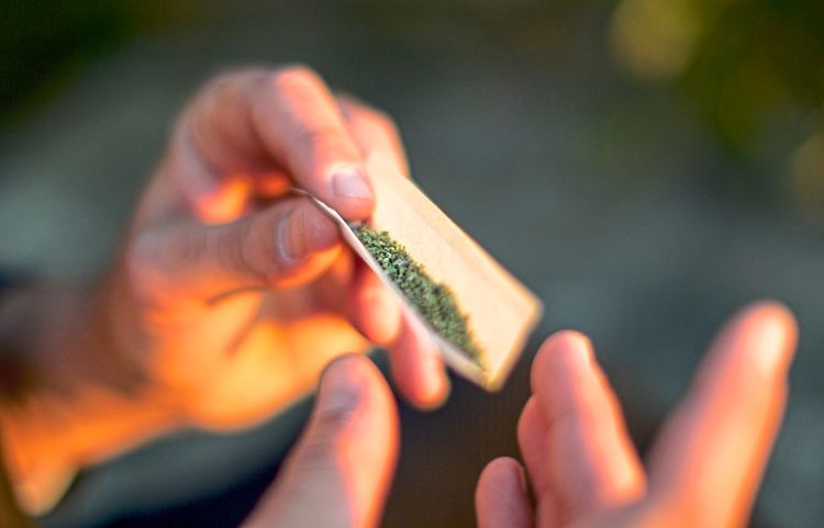Eine Person rollt einen Joint mit Cannabis