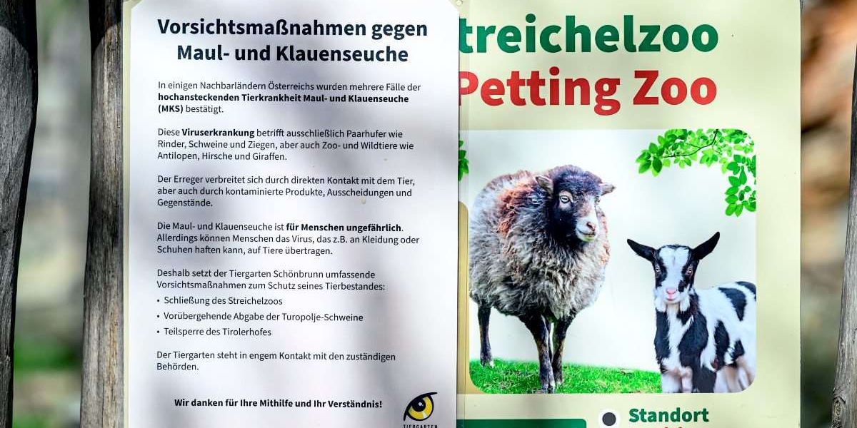 Maul- und Klauenseuche: Verstoß gegen das Einfuhrverbot kann teuer werden