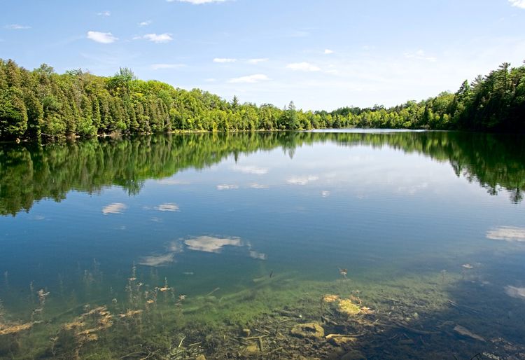 Ein idyllischer See mit glatter Oberfläche, von Wald umrandet.