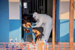 Mehr als 300 Tote durch Ebola im Kongo bestätigt Der Gipfel des Ebola-Ausbruchs im Kongo ist noch nicht erreicht, doch bereits 95 Prozent der Betten sind belegt. Die Zahl der Toten steigt. Nun sollen ausländische Medikamente erprobt werden