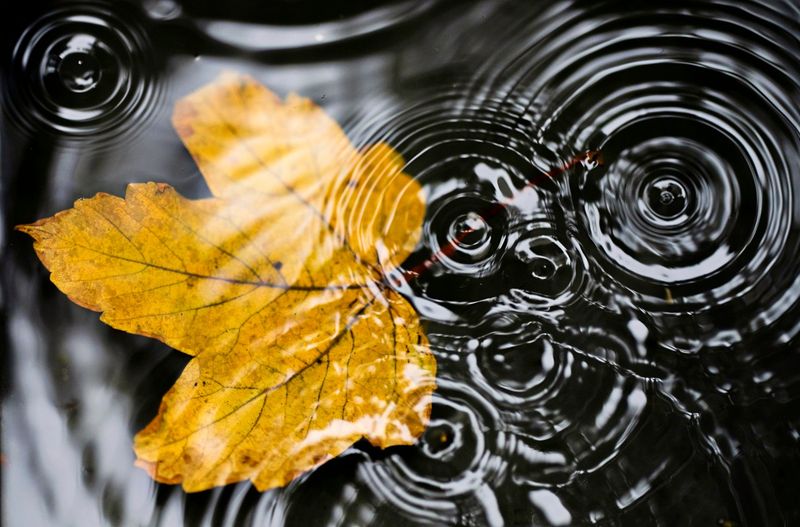 Wie verändert sich Österreichs Wasser im Klimawandel? Analyse zeigt erste Trends