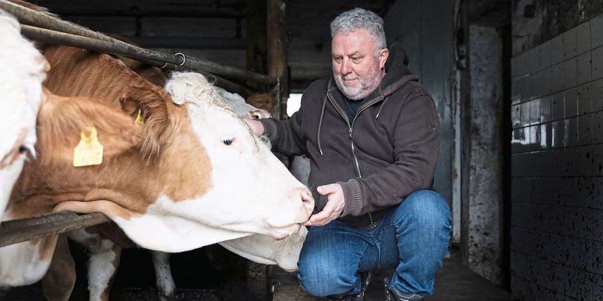 Farmer rebel Grünzweil: |