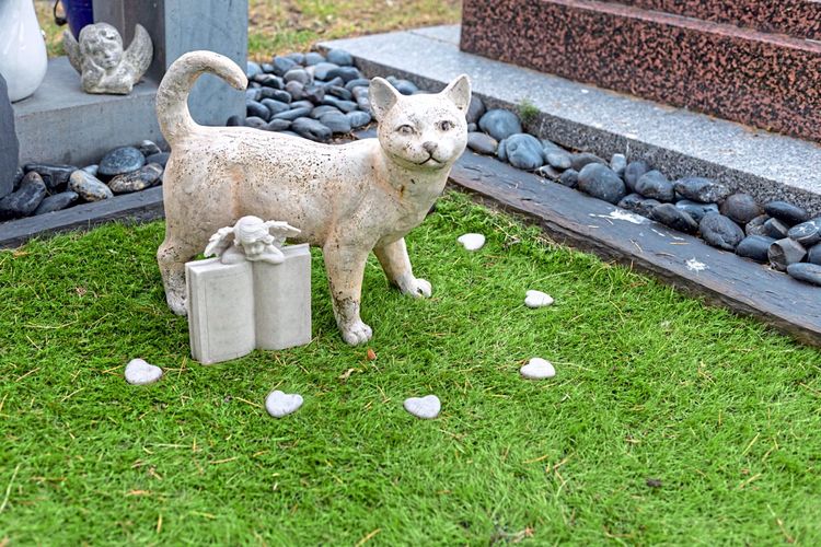 Grabdekoration auf einem Katzengrab auf einem Tierfriedhof, eine steinerne Katze steht neben einem Engel mit einem geöffneten Buch