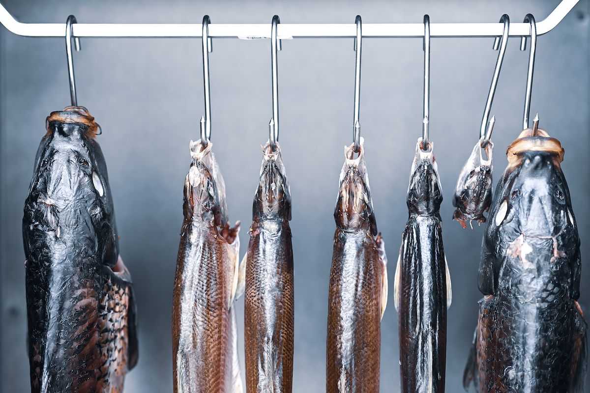 Warum wir mehr heimischen Fisch essen sollten - Essen & Trinken