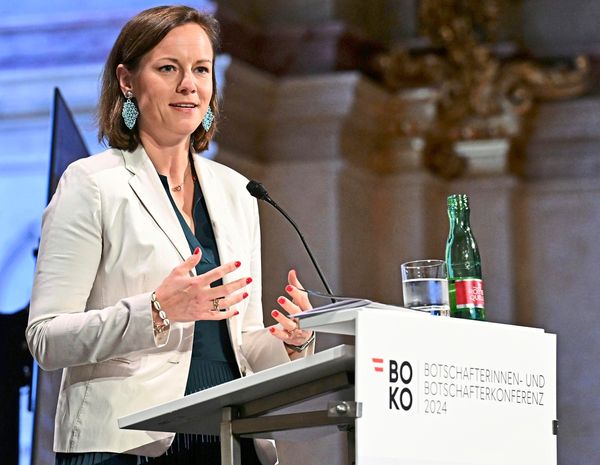 Wegen-VP-Kandidatur-Gr-ne-hinterfragen-beim-Kanzler-Bestellung-K-hnels-in-FMA-Vorstand