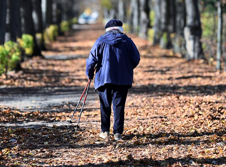 Ein älterer Mann geht mit zwei Gehstöcken über einen von Herbstlaub bedeckten Weg im Schönbrunner Schlosspark. Die Bäume säumen den Weg.