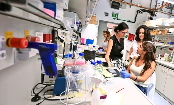 Wie-sterreich-wissenschaftliche-Exzellenz-anziehen-und-halten-kann