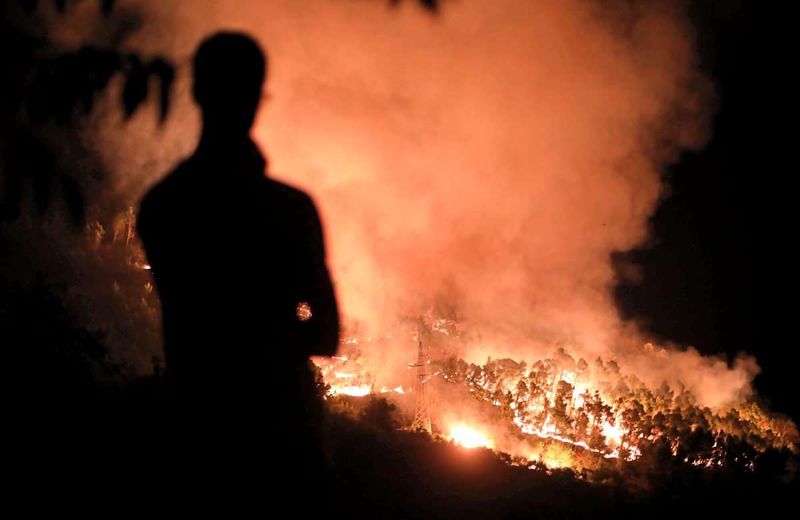 Waldbrände in Kroatien: Wie Urlaubende die Gefahrenlage checken können