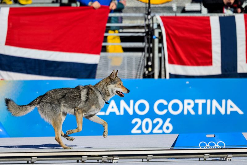 Olympia-Disziplin Wolfslaufen