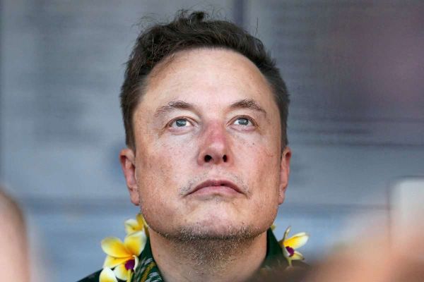 Elon Musk - Figure 1