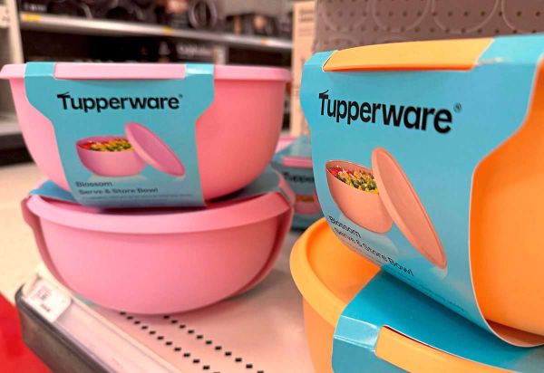 Tupperware - Figure 1