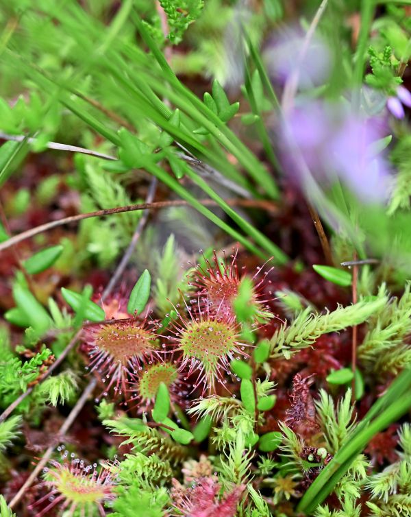 Umweltrechtsexpertin-Wagner-Einen-Fluss-mit-Hochwasser-kann-ich-nicht-verklagen-