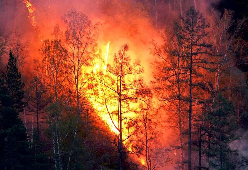 Klimawandel zeigt sich auch bei Waldbrandsituation in Russland