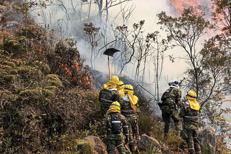 Brände in Kolumbien