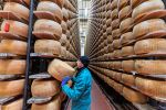 Hitzewellen in Italien setzen Parmesan-Hersteller unter Druck