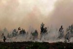 Waldbrände in Südeuropa: Weitere 55.000 Menschen bei Bordeaux zur Evakuierung aufgefordert