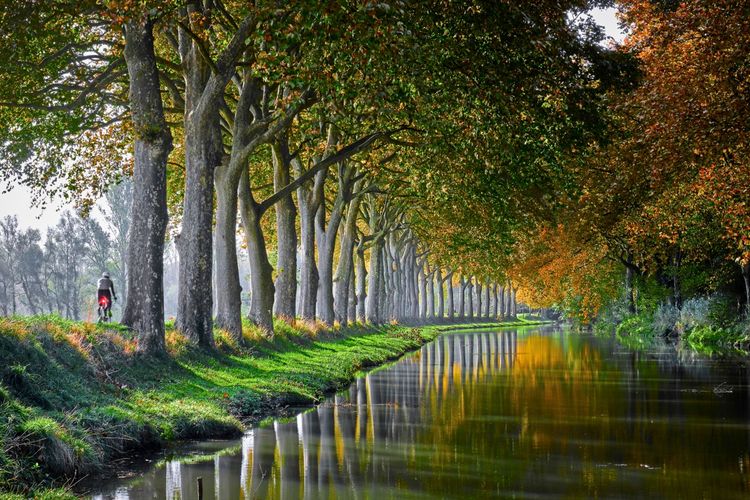 Ein Radfahrer fährt auf einem grasbewachsenen Weg entlang eines Kanals, der von einer Allee hoher Bäume gesäumt ist. Die Herbstblätter der Bäume spiegeln sich im ruhigen Wasser des Kanals.