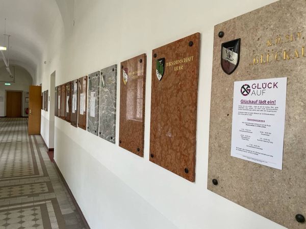 Nazischriften-Pr-gel-Schie-bung-Die-Montanuni-Leoben-wird-ihren-rechten-Rand-nicht-los