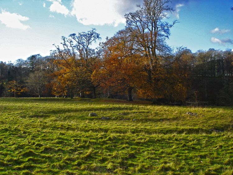 Die Ringbeisetzung von Levens Park in Cumbria. Rechts von dem einzelnen großen Felsbrocken sind vor rund 4.000 Jahren drei Frauen bestattet worden. In einer davon fanden sich nun DNA-Reste des Pesterregers.