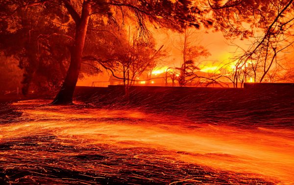 Waldbrandgefahr-Trockenheit-und-Extremwetter-Sind-wir-vorbereitet-