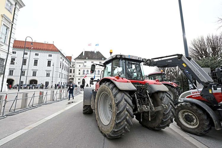 Ein paar Traktoren folgten auch einem Protestaufruf der freiheitliche Bauernschaft in diesem Jänner in Wien.