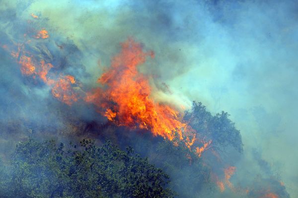 Es-brennt-Drei-B-cher-ber-Feuer-und-das-Sterben-der-Natur