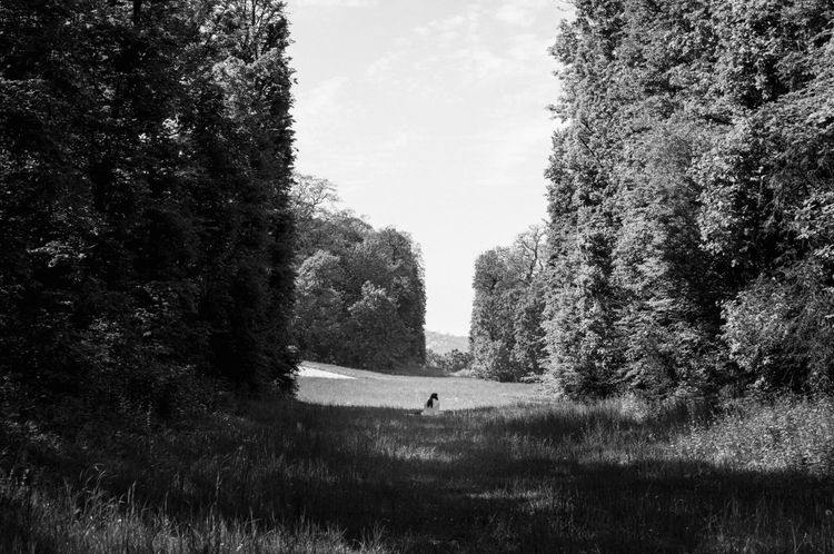 Leica M11 Monochrom – Testfoto.