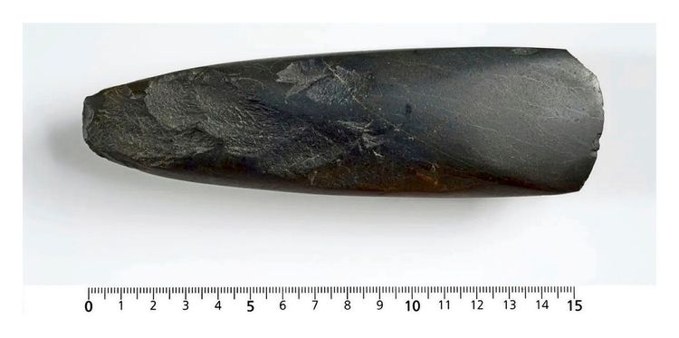 Fein geschliffene Grünsteinaxt aus der Steinzeit, etwa 15 cm lang, mit abgerundeter Spitze und glatter Oberfläche, dargestellt auf weißem Hintergrund mit Maßstab unten.
