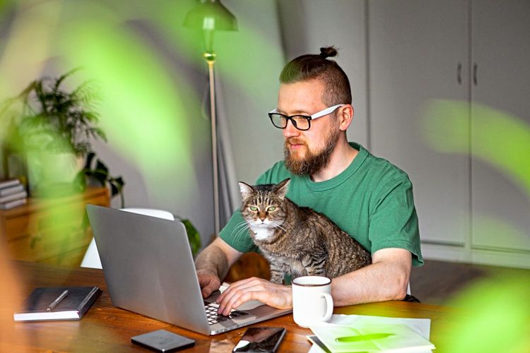 Ein Mann arbeitet im Homeoffice mit Katze