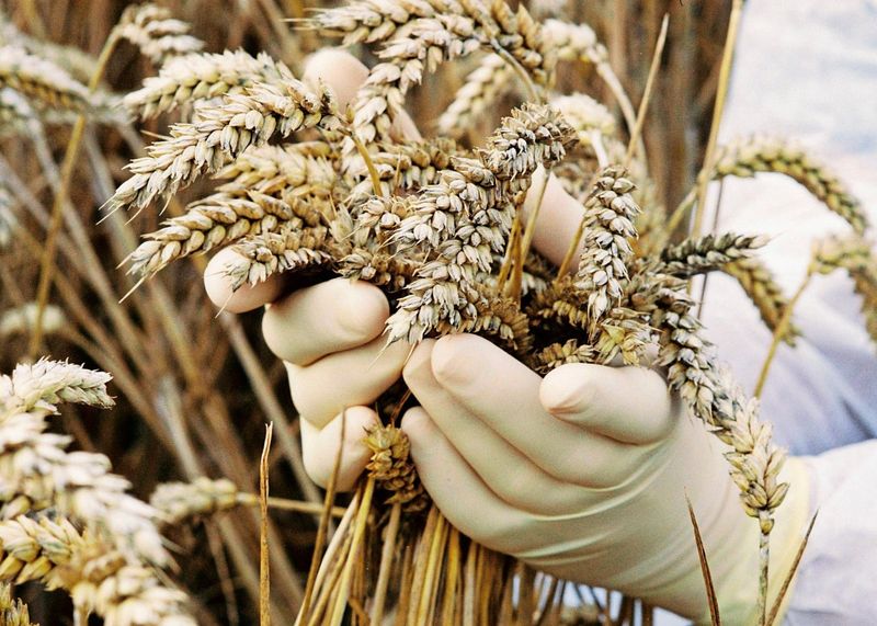 Wir brauchen keine Angst vor Genen – und keine Politik, die solche schürt