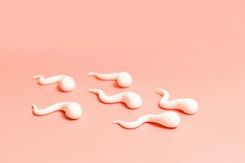 Spermien aus Knetmasse auf orangenem Hintergrund