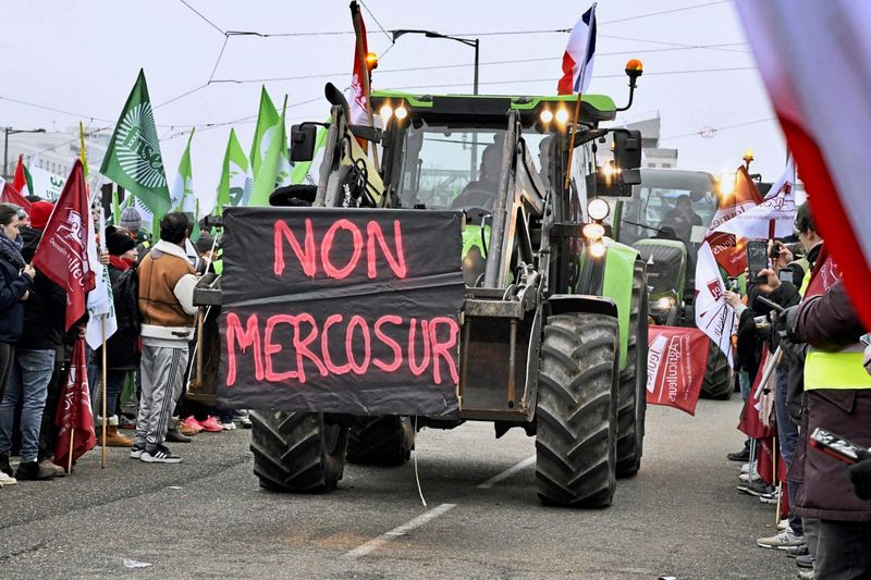 Das Votum gegen Mercosur zeigt die Schwäche des EU-Parlaments