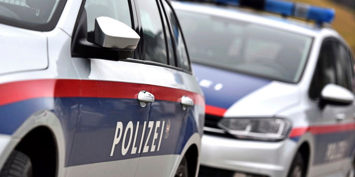 Bottle collector hit and killed by high-speed train in Vienna