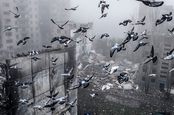 Zeit-f-r-Erneuerung-Die-Sicherheit-Europas-braucht-eine-starke-OSZE