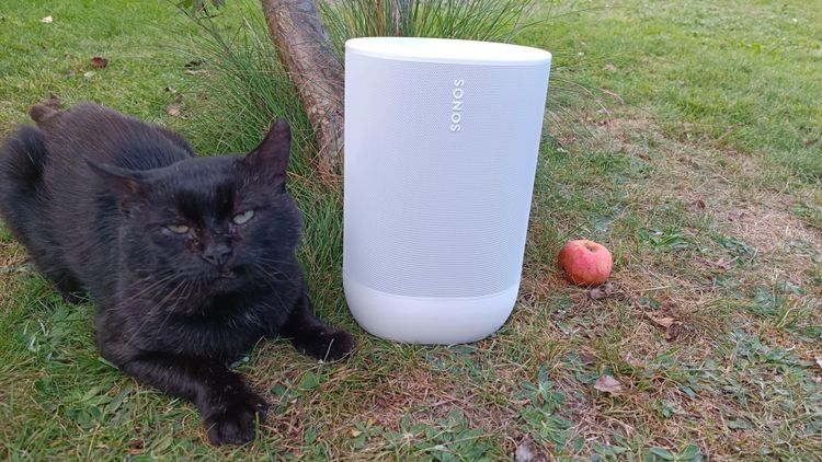 Schwarze Katze und Lautsprecher im Gras