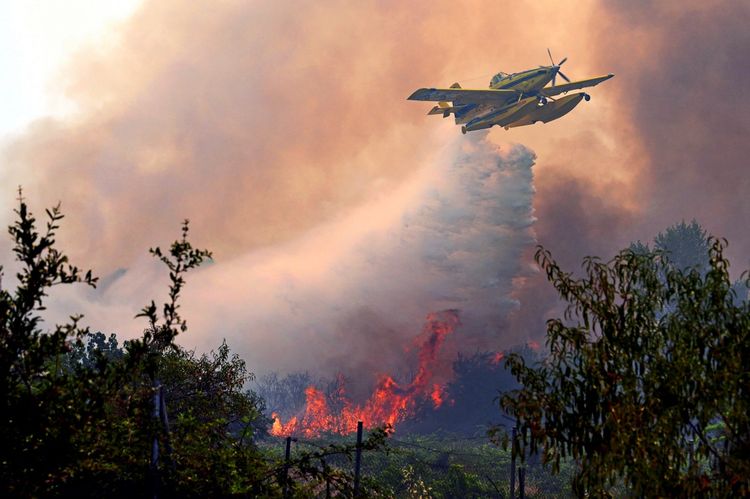 Ein Löschflugzeug vom Typ Air Tractor AT-802F Fire Boss wirft Wasser über einen brennenden Waldbrand in der Nähe von San Martín de Valdeiglesias, westlich von Madrid, ab. Im Vordergrund sind Flammen, Rauch und Bäume zu sehen.