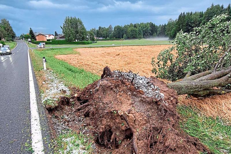 Gewitter und Hagel in Niederösterreich, Tirol und Vorarlberg